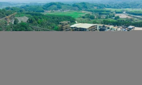 MSR hướng đến tăng trưởng dài hạn sau giai đoạn phục hồi