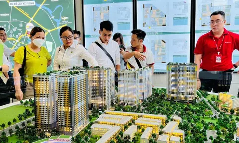 Cò nhà đất bán giá ảo hết 'đất sống'