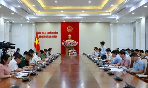 Quảng Ninh: Chủ tịch UBND tỉnh kiểm điểm tiến độ các tổ công tác trọng điểm