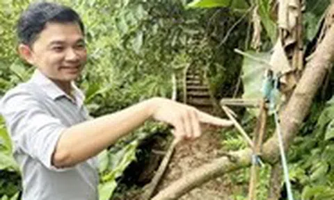 Người Xê Đăng bày ma trận bẫy bắt 'ông Tý' trộm sâm Ngọc Linh