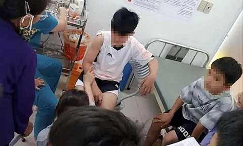 Chó thả rông nghi dại tấn công 6 người dân ở Nghệ An