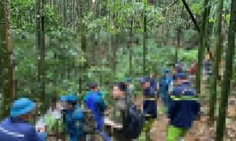 Hơn 300 cán bộ tìm kiếm người đàn ông mất tích 2 ngày khi đi rừng