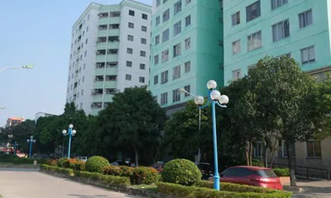Phú Thọ đẩy nhanh phát triển nhà ở xã hội, rà soát tiến độ hoàn thành hơn 62.000 căn đến năm 2030
