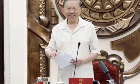 Kiện toàn các Ban chỉ đạo TƯ về hoàn thiện thể chế, pháp luật, cải cách tư pháp