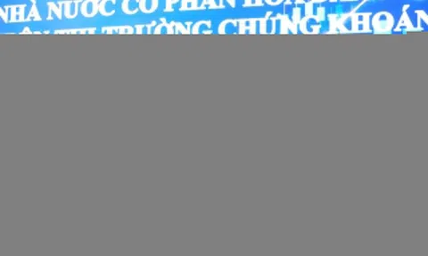 Gỡ khó cho doanh nghiệp Nhà nước chưa đủ chuẩn công ty đại chúng