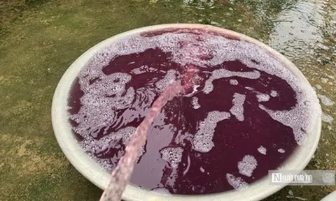 Vụ nước giếng khoan chuyển màu tím, hôi tanh: Kết quả xét nghiệm nhiều chỉ số vượt chuẩn hàng chục lần