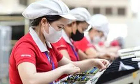 Thưởng theo tỉ lệ giá trị làm lợi: Đòn bẩy tăng năng suất lao động