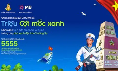 Nền tảng Thiện nguyện - Giải pháp số duy nhất của Việt Nam được vinh danh tại WSA 2025