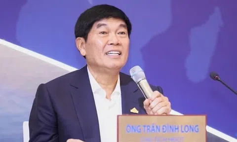 Tỷ phú Trần Đình Long muốn phân phối điện, bán lẻ ôtô, sản xuất đồ gỗ