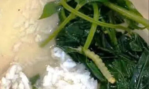 Vụ “canh rau có sâu” xôn xao ở Huế: Cơ quan chức năng lên tiếng