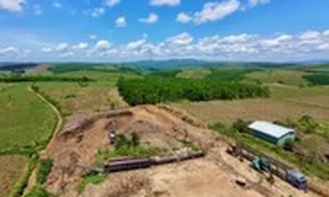 Nhiều trạm cân thu mua nông sản tự phát ở đông Đắk Lắk