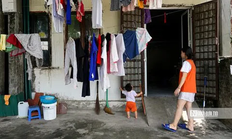 Làm cả thanh xuân vẫn chưa thoát cảnh ở trọ