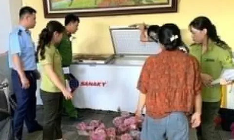 Phát hiện, thu giữ 290 cá thể cò hương cấp đông chờ tiêu thụ