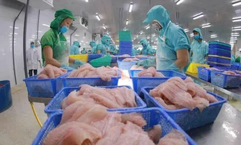 IDI báo lãi tăng hơn 50% trong quý đầu năm 2026