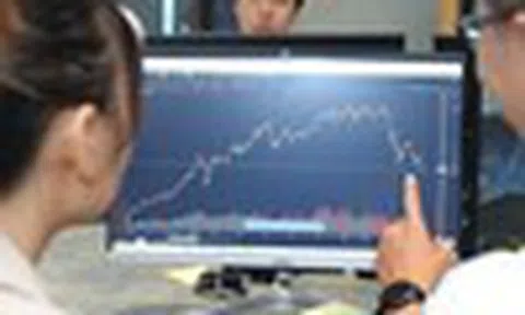 VN-Index rung lắc, ngành phân bón hưởng lợi từ chu kỳ giá tăng
