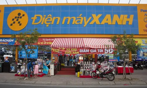 Điện Máy Xanh cùng loạt thương vụ IPO 'bom tấn' của năm