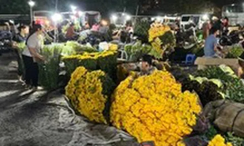 Phường Kiến Hưng báo cáo gì sau chỉ đạo của Chủ tịch Hà Nội về khu chợ 'chui' hoạt động thâu đêm?