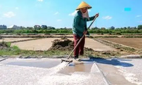 Mồ hôi mặn trên cánh đồng muối dưới chảo lửa 40 độ