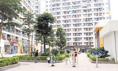 Ưu tiên phát triển nhà ở cho thuê tại đô thị lớn, khu công nghiệp