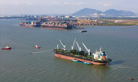 Đề xuất cơ chế phát triển hệ sinh thái tài chính hàng hải tại TP.HCM