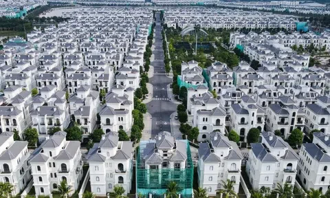 Tổng giám đốc Vinhomes nói rõ về chương trình 'đổi vàng mua nhà'