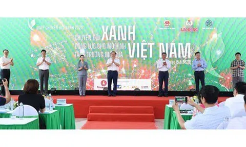 Ngăn ngừa tình trạng “xanh hóa hình thức”