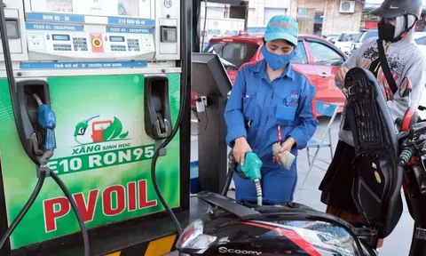 VAMA 'giải mã' lo ngại về an toàn cho động cơ khi dùng xăng E10