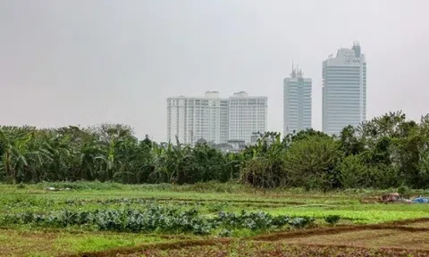 Hà Nội thông báo chấm dứt hoạt động 24 dự án chậm triển khai