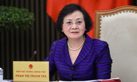 Phó Thủ tướng Phạm Thị Thanh Trà làm Trưởng BCĐ quốc gia về phát triển ngành dược Việt Nam