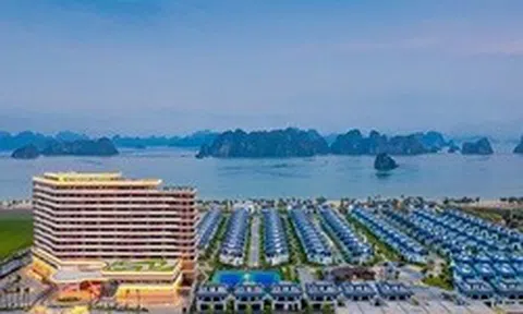 CEO Group chốt ngày phát hành hơn 28 triệu cổ phiếu trả cổ tức