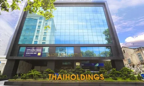 Chuyện gì đang xảy ra với cổ phiếu Thaiholdings?