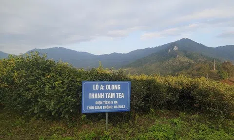Xây dựng bản đồ số du lịch nông thôn Việt Nam