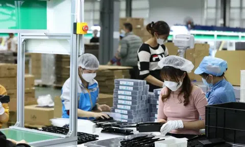 1 năm thông qua 89 luật, giảm hơn 3.000 quy định: Doanh nghiệp nói gì?