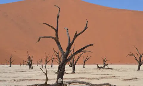 Liên Hợp Quốc cảnh báo về ảnh hưởng thời tiết từ hiện tượng El Nino