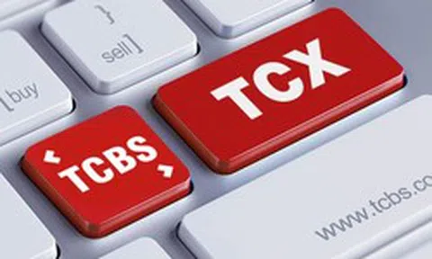 TCBS bổ nhiệm nhân sự cao cấp: Phó Chủ tịch HĐQT và Quyền Tổng Giám đốc