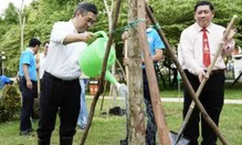 TP.HCM trồng mới nhiều cây xanh tại công viên Phan Đình Phùng