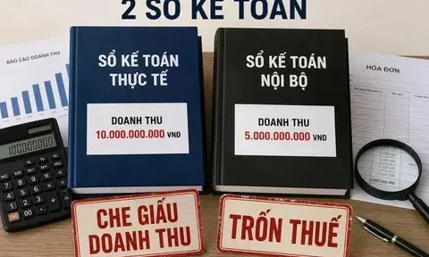 Doanh nghiệp lập 2 hệ thống kế toán, khi nào bị coi là vi phạm?