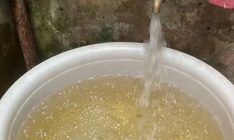 Làm rõ việc hàng vạn người dân Hà Nội phải dùng nước cặn bẩn, vàng đục