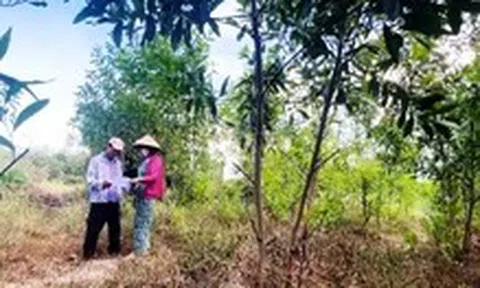 Thu hồi dự án FLC nhưng 'quên' hủy quyết định thu hồi đất