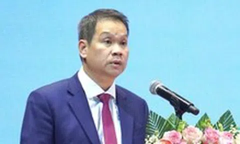 Đà Nẵng chấp nhận 3 dự án đầu tư hạ tầng khu thương mại tự do, Phương Trang đầu tư nhiều nhất