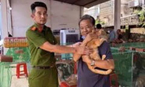 Đi tìm mèo cưng chỗ mấy chú công an phòng hình sự