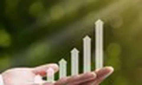 Nhận định thị trường phiên giao dịch ngày 15/6: Không vội vàng bắt đáy