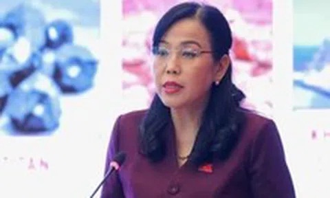 Việt Nam có thể tham gia mức độ nào vào đường sắt tốc độ cao Bắc - Nam, điện hạt nhân?