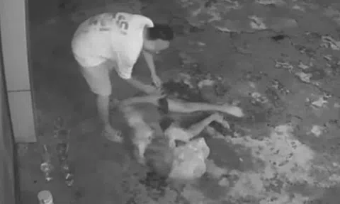 Camera an ninh ghi cảnh ông lão bán vé số bị đánh, cướp khi ngủ ven quốc lộ