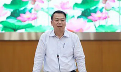 Thứ trưởng Tài chính lý giải nguyên nhân nhập siêu tăng vọt hơn 15 tỷ USD