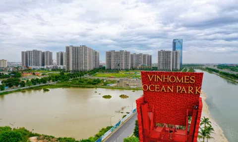 Vinhomes sở hữu bao nhiêu đất trước khi tuyên bố dừng gom thêm?