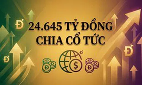 Kỷ lục ở Việt Nam: Chi gần 1 tỷ USD tiền mặt chỉ để trả cổ tức
