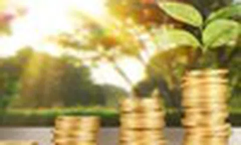 Nhận định thị trường phiên giao dịch ngày 19/6: Chú trọng nhóm cổ phiếu có câu chuyện riêng