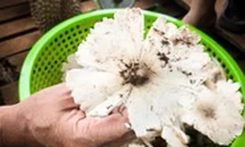 Vật chất thừa mứa khiến tình cảm láng giềng phai nhạt?