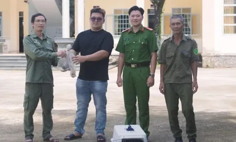 Phát hiện động vật lạ trong vườn, người dân giao nộp công an